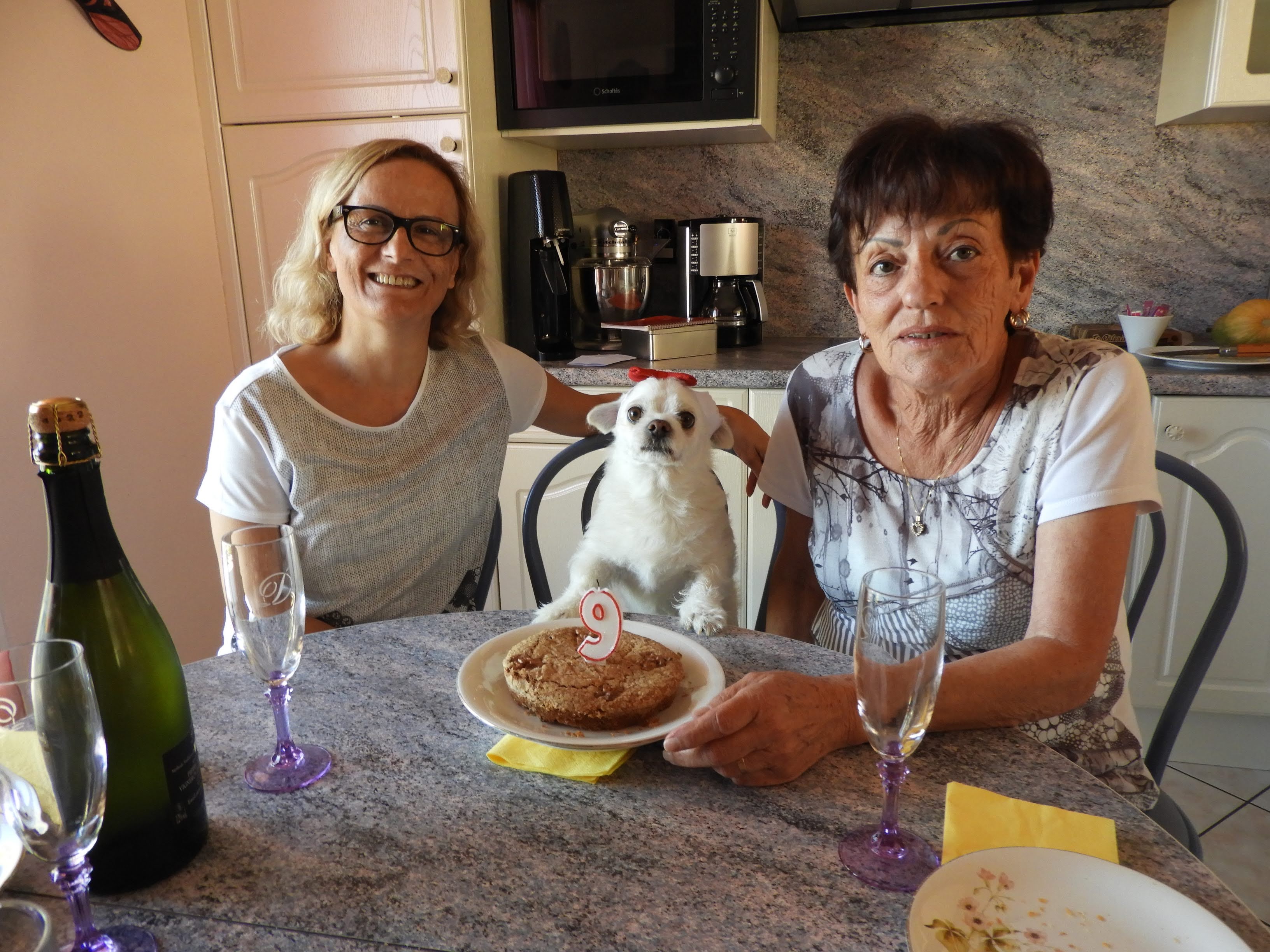 Photo n° 1 de l'avis de Prost.o fait le 27/11/2023 à 18:01