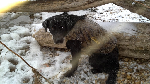 National Park «Fort Hunt Park», reviews and photos, 8999 Fort Hunt Rd, Alexandria, VA 22308, USA