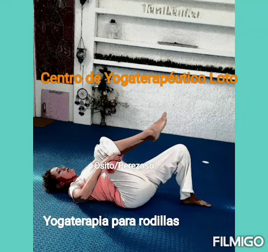 Comentarios y opiniones de Centro de Yoga Terapéutico Integral LOTO/Escuela de yoga Uruguay