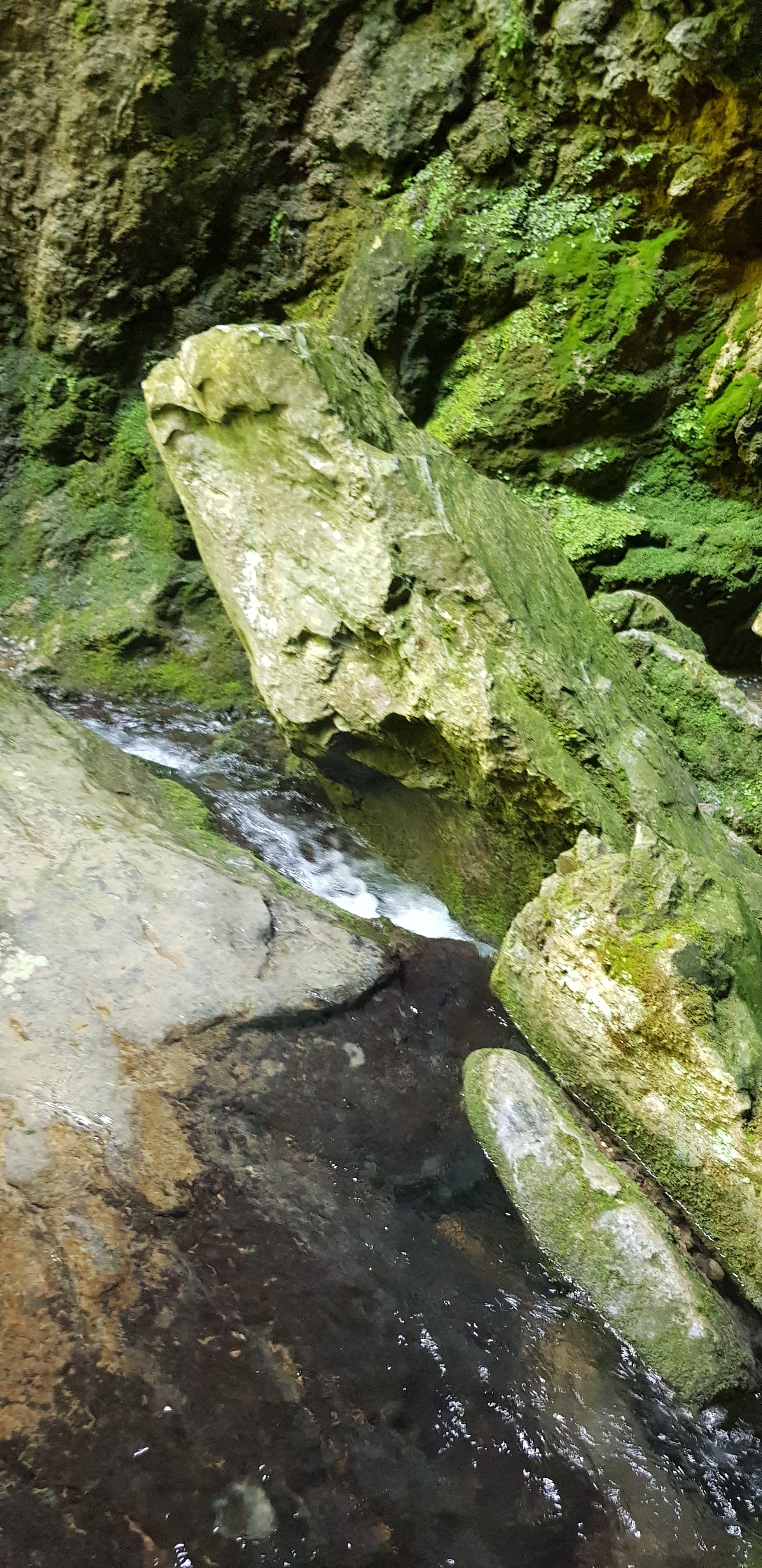 Photo n° 6 de l'avis de Buble.u fait le 02/06/2018 à 07:32