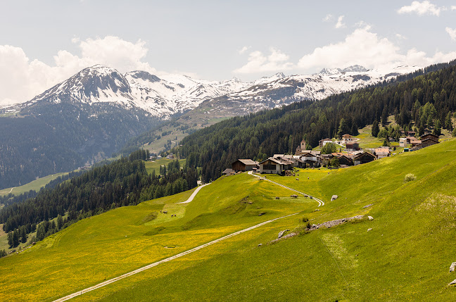 Rezensionen über Biohof Taratsch in Buchs - Bioladen