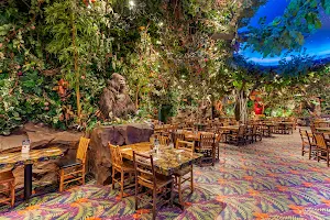 Rainforest Cafe image
