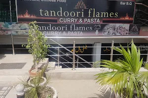 Tandoori Flames Hotel & Restaurant image