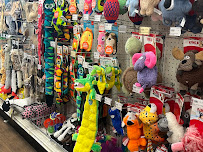 Petland Las Vegas - Photo 7 - Car repair in Las Vegas, NV, Las Vegas