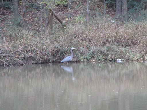 Park «Katherine Rose Memorial Park», reviews and photos, 303 N Walnut Creek Dr, Mansfield, TX 76063, USA