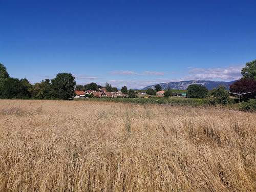 Château de Laconnex à Laconnex