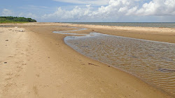 Foto av Chatham beach med något ren nivå av renlighet
