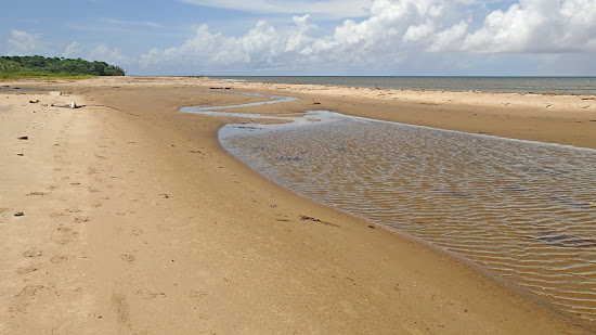 Chatham beach