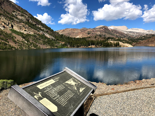 National Park «Yosemite National Park», reviews and photos