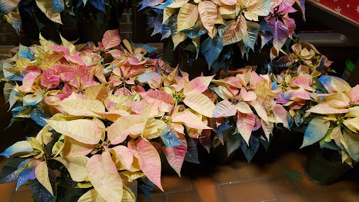 Supermarket «Wegmans», reviews and photos, 370 Orchard Park Rd, West Seneca, NY 14224, USA