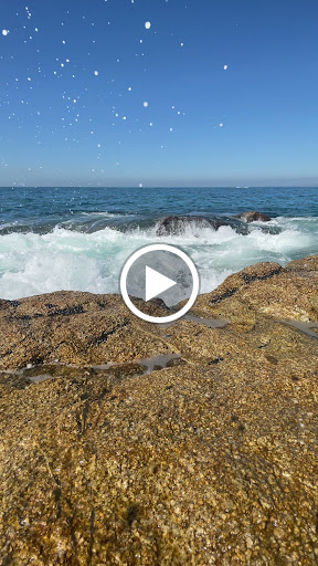 Travel Agency «Cruise & Travel Masters», reviews and photos, 4376 S 700 E #200, Murray, UT 84107, USA