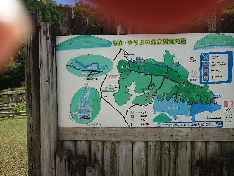 なか・やちよの森公園