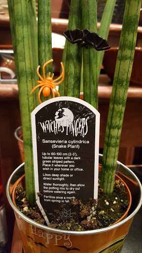 Grocery Store «The Fresh Market», reviews and photos, 5920 Red Bug Lake Rd, Winter Springs, FL 32708, USA