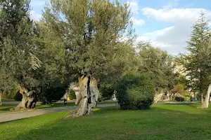 Sakarya Parkı image