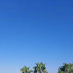 Photo n°2 de l'avis de Giuseppe.a fait le 01/08/2023 à 13:04 sur le  Hotel Ristorante Costa Azzurra à Pulsano