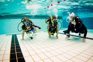 Brenda Hilberts Diving image