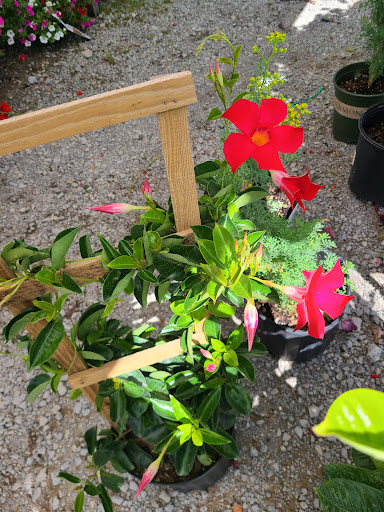 Flea Market «Parkland Flea Market & Restaurant», reviews and photos, 4994 Murfreesboro Rd, Lebanon, TN 37090, USA