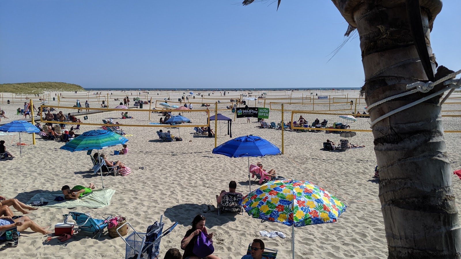 Cedar Overlook Beach photo #7