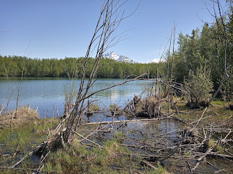 Matanuska Lake Trailhead