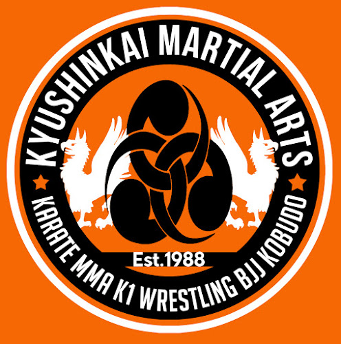 Reviews of Kyushinkai Martial Arts and Fitness Centre in Telford - School