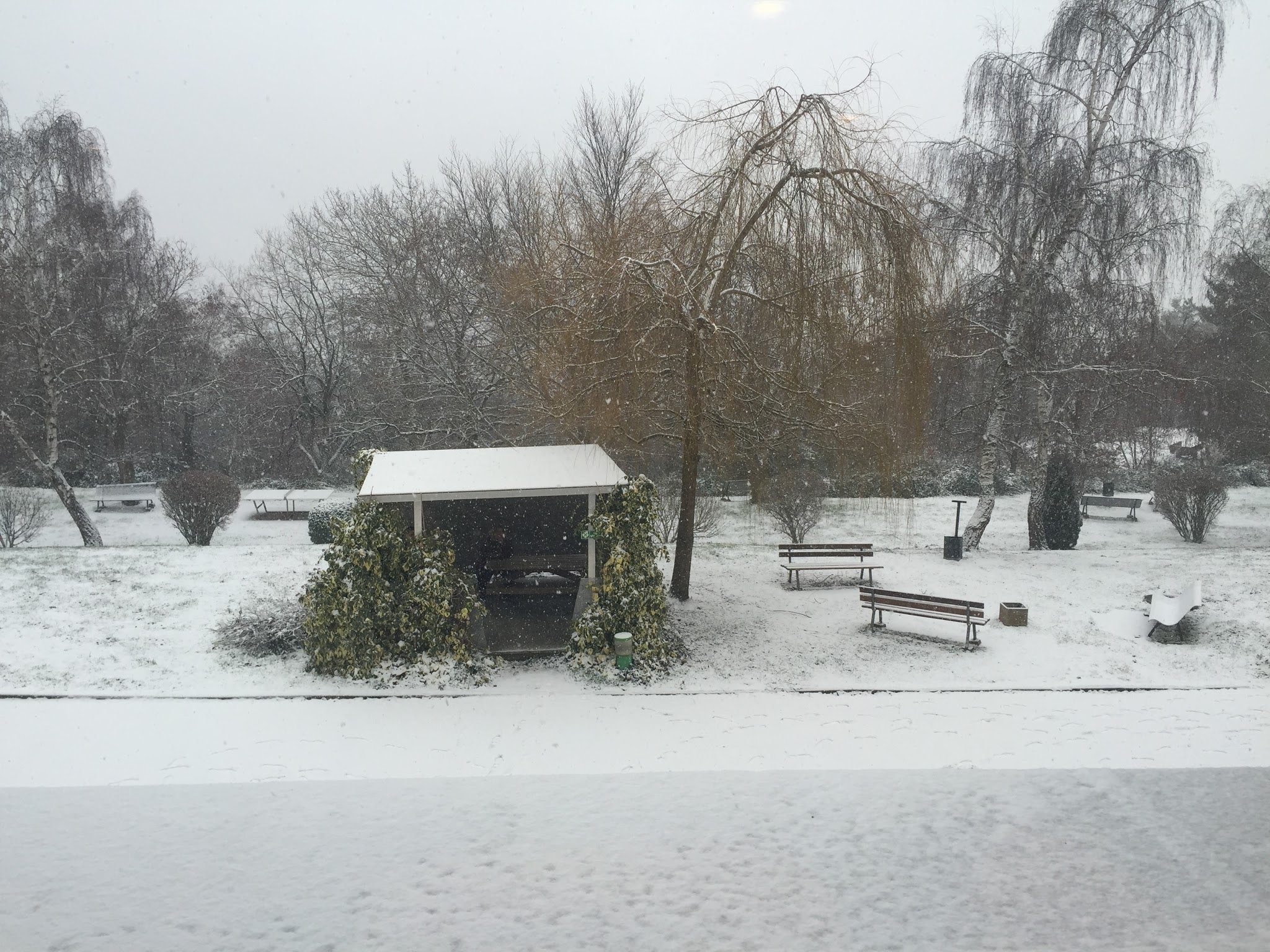 Photo n° 1 de l'avis de Mélaine.i fait le 22/03/2017 à 20:02
