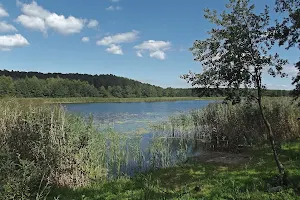 Jezioro Skrzyneckie image