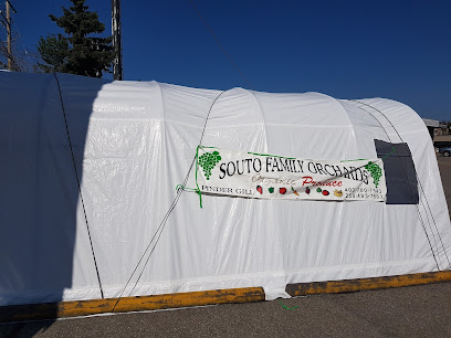 Souto Family Orchards Stall
