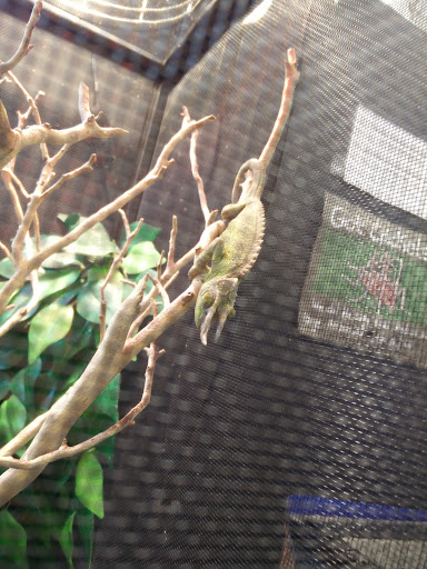 Pet Store «Super Pets», reviews and photos, 1807 E Chapman Ave, Orange, CA 92867, USA