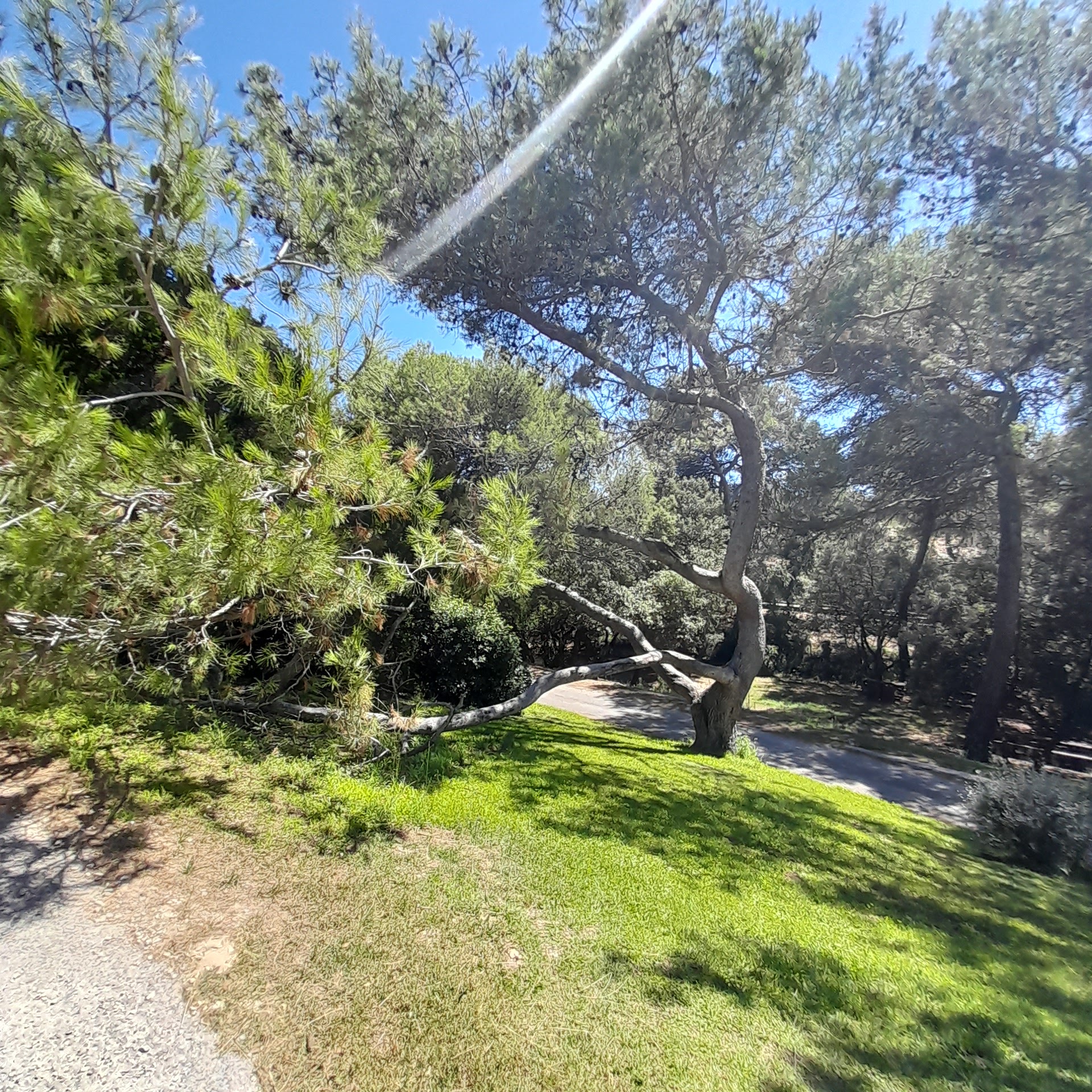 Photo n° 6 de l'avis de Ludyvine.h fait le 02/08/2023 à 16:14