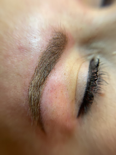 Explore bird tattoo ideas for men, creative tattoo ideas in Peoria Heights, available at BeautiFULL Brows By Jen Microblading - Permanent Makeup Wild Honey Beauty Studio