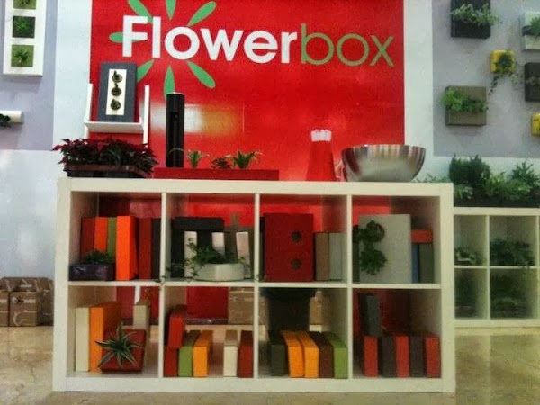 Flowerbox Gallery Valencia