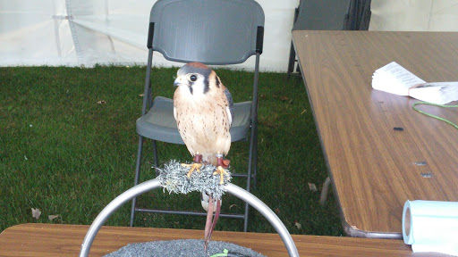 Park «Lake Erie Metropark», reviews and photos, 32481 W Jefferson Ave, Brownstown Charter Twp, MI 48173, USA