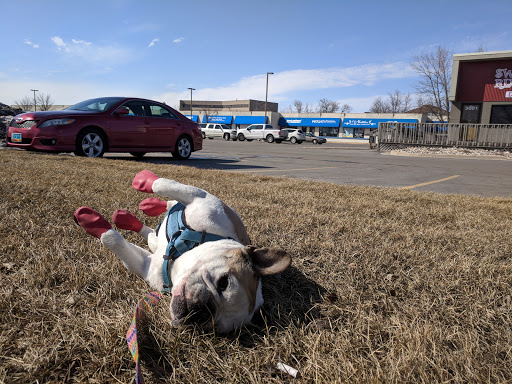 Pet Supply Store «Natural Pet Center», reviews and photos, 3037 13th Ave S, Fargo, ND 58103, USA