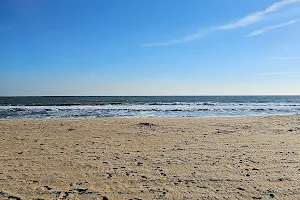 Sandbridge Beach image