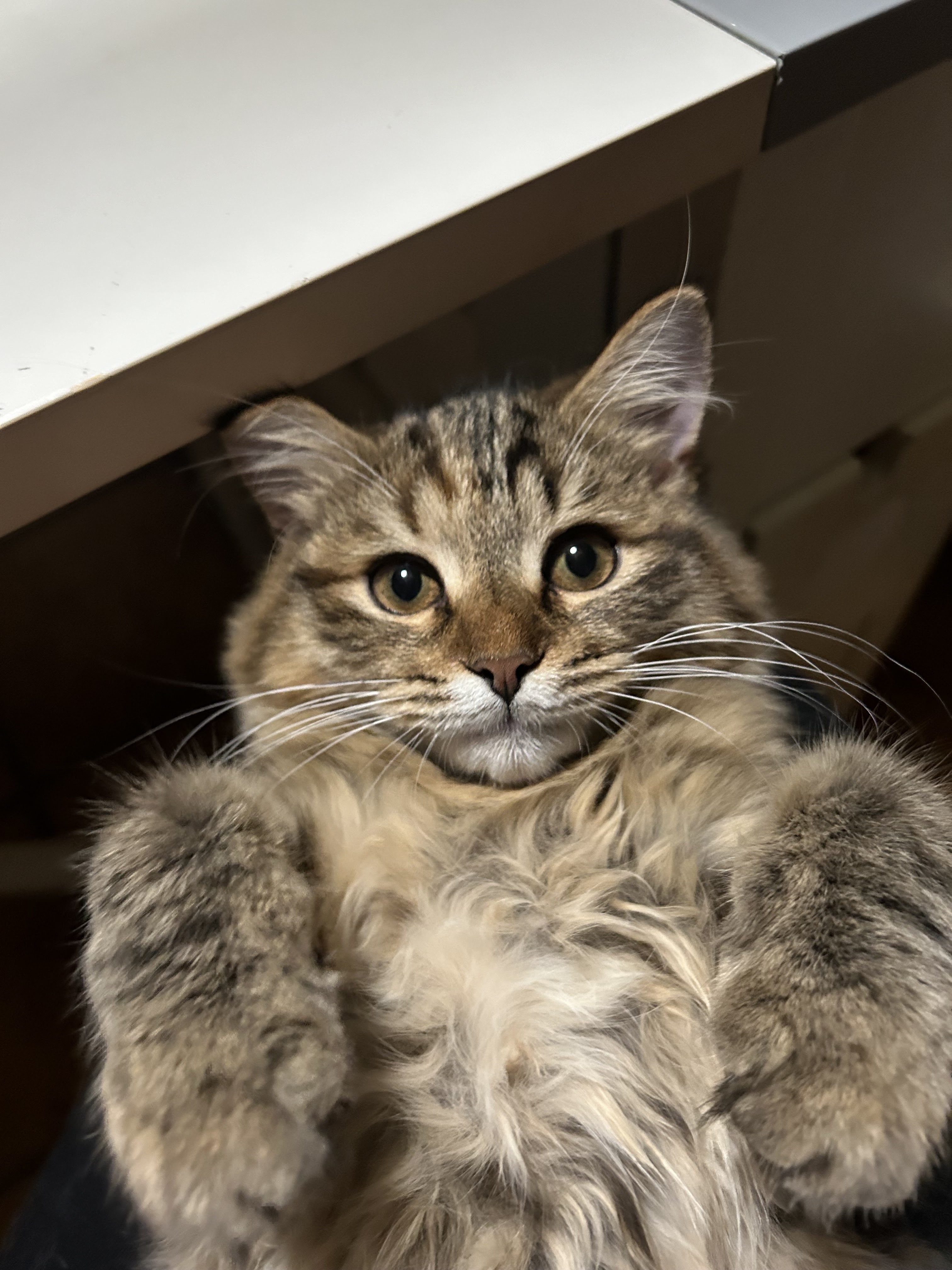 Photo n° 1 de l'avis de etcheberrigaray.a fait le 06/12/2023 à 17:21