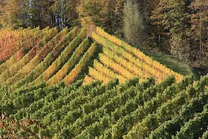 Weinwanderweg Aspach Am Föhrenberg image