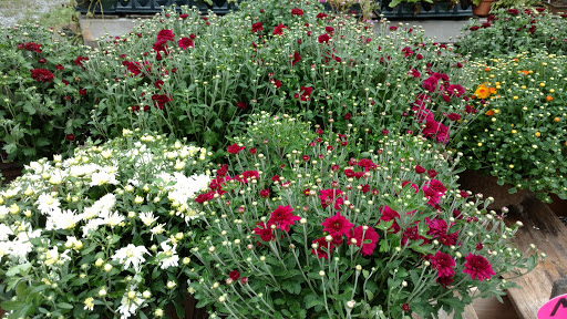 Produce Market «Smith Farm», reviews and photos, 131 Kimball Hill Rd, Hudson, NH 03051, USA