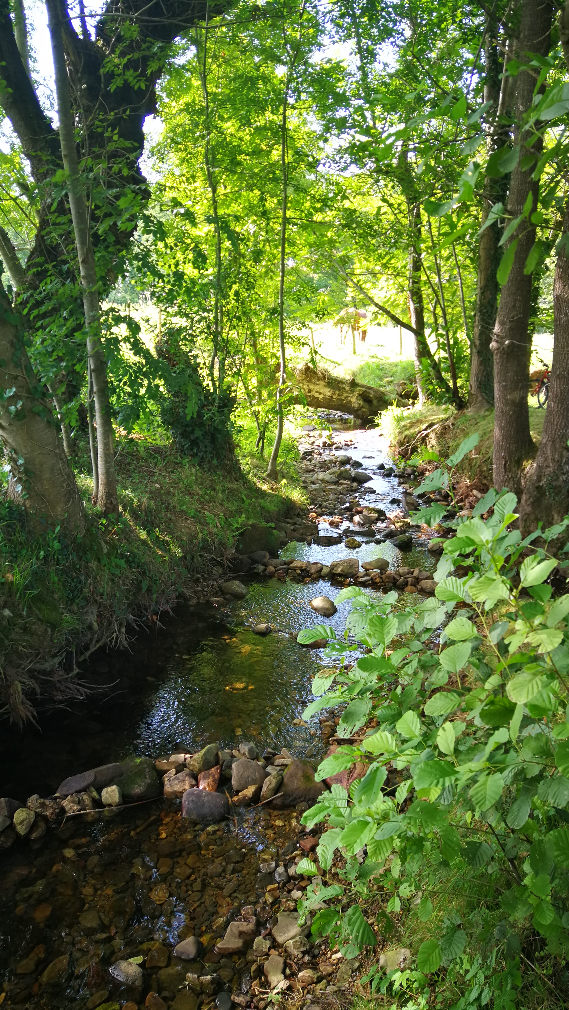 Photo n° 1 de l'avis de T.o fait le 21/08/2019 à 20:02