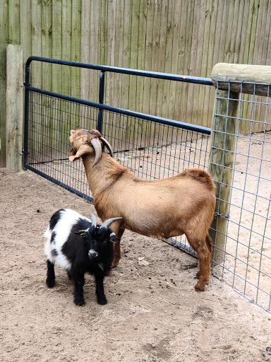 Zoo «Gulf Breeze Zoo», reviews and photos, 5701 Gulf Breeze Pkwy, Gulf Breeze, FL 32563, USA