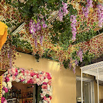 Photo n°1 de l'avis de Calypso.i fait le 11/08/2023 à 18:20 sur le  La Regina di Manarola à Manarola