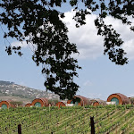 Photo n°5 de l'avis de Diego.o fait le 30/04/2022 à 15:40 sur le  Quinta da Pacheca à Lamego