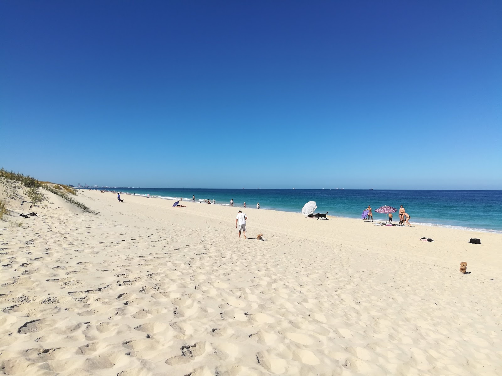 Foto av Perth South City Beach med lång rak strand