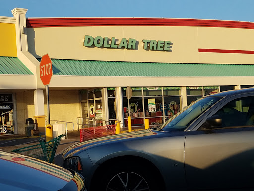 Dollar Store «Dollar Tree», reviews and photos, 1627 Sun City Center Plaza, Sun City Center, FL 33573, USA