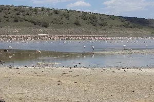 Lake Magadi Main Gate image