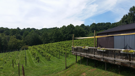 Vineyard «Naked Mountain Winery & Vineyards», reviews and photos, 2747 Leeds Manor Rd, Markham, VA 22643, USA