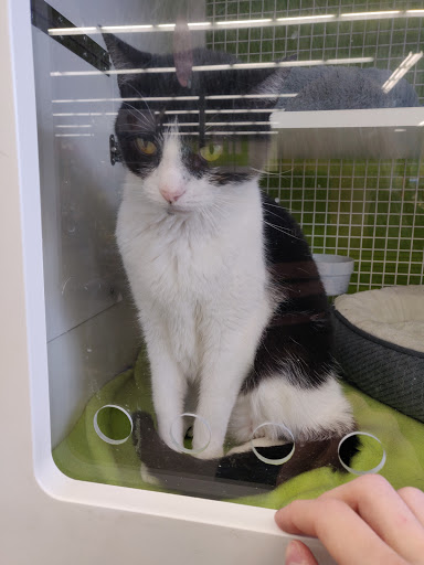 Pet Supply Store «Petco Animal Supplies», reviews and photos, 660 Chestnut Commons Dr, Elyria, OH 44035, USA