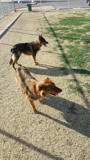 Park «Paradise Valley Park», reviews and photos, 17642 N 40th St, Phoenix, AZ 85032, USA