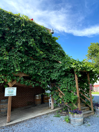 Winery «Shenandoah Vineyards», reviews and photos, 3659 S Ox Rd, Edinburg, VA 22824, USA