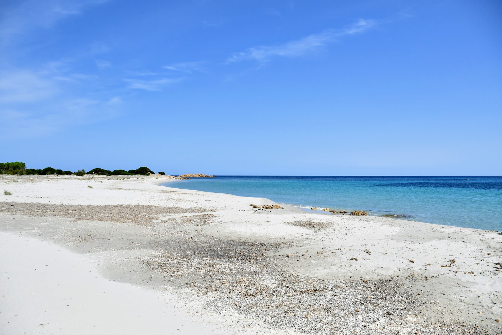 Foto av Spiaggia Cannazzellu beläget i naturområde