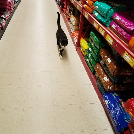 Pet Supply Store «K-9 Specialties», reviews and photos, 31936 Mound Rd, Warren, MI 48092, USA